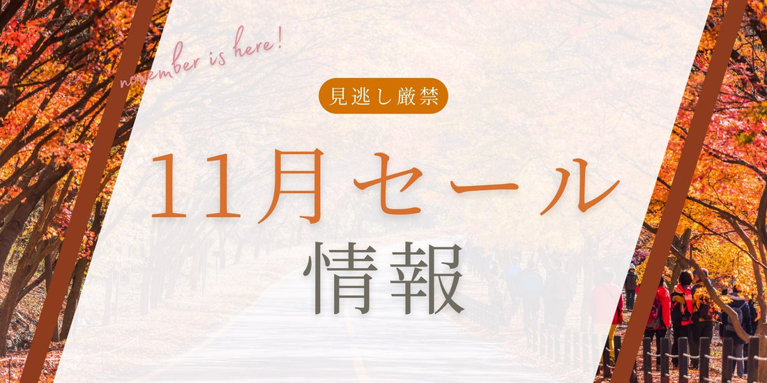 2025年11月のセール情報のお知らせ
